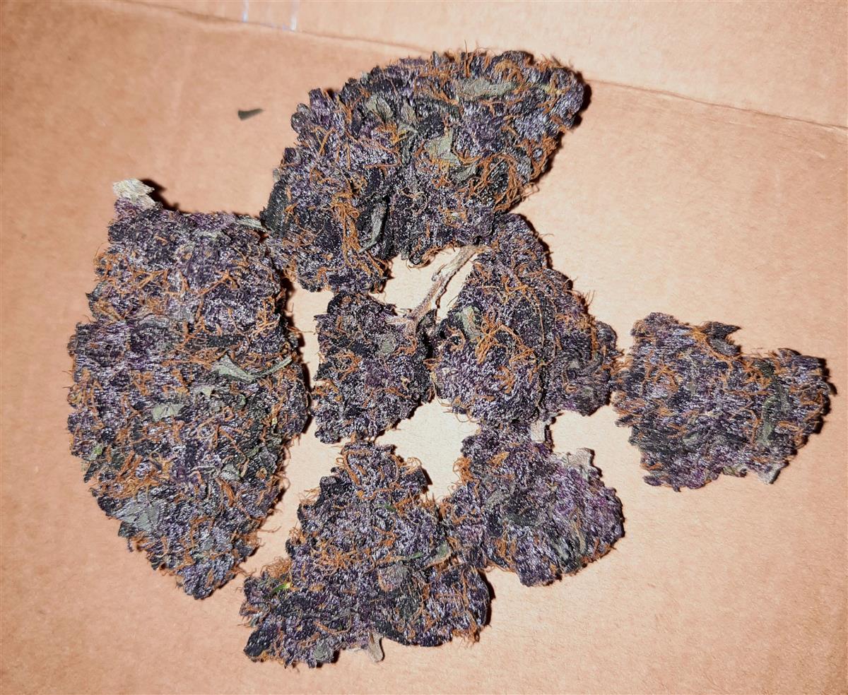 Fast Buds LSD-25 Auto Fem. 3St.