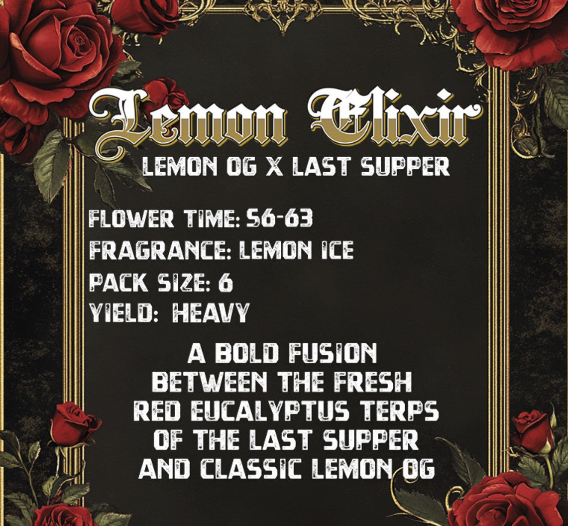 Solfire Gardens Lemon Elixir Fem 6St.