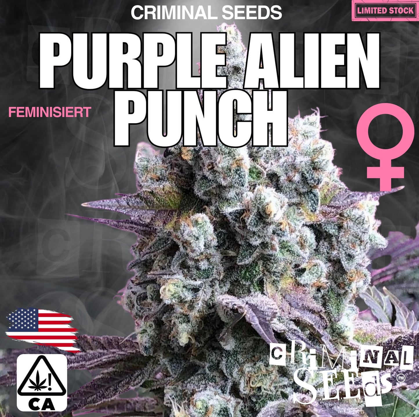 Criminal Seeds Purple Alien Punch x Cali Fem 3St.