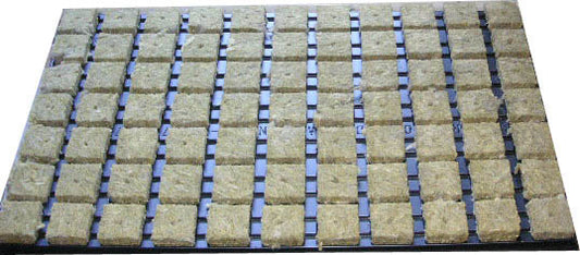 Steinwollwürfel im Tray 4x4cm 77 Stück