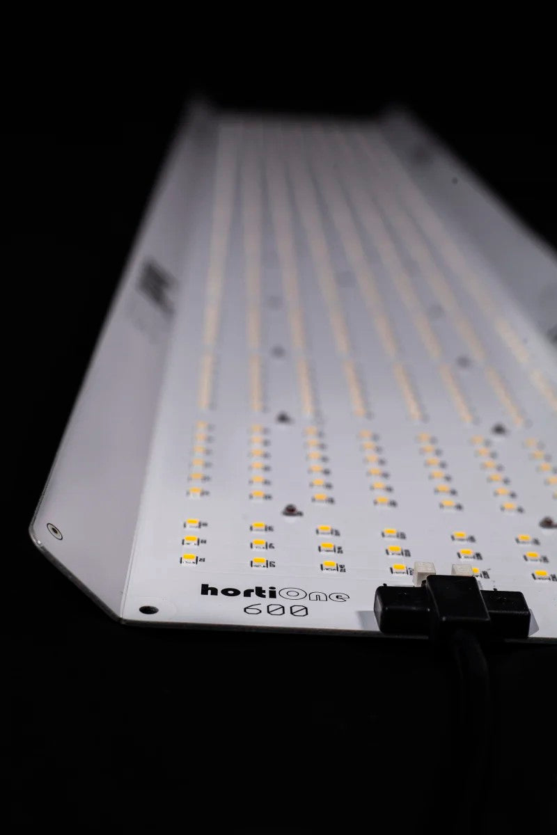 HortiONE 600 V3 LED 220 Watt 2.9