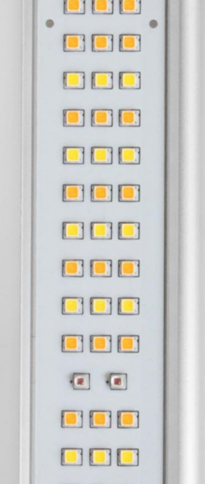 Lumii Black LED-Leuchte 720 W Set mit Lumii Black Vorschaltgerät