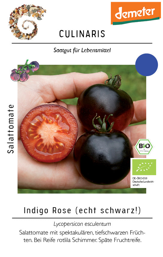 Salattomate Indigo Rose