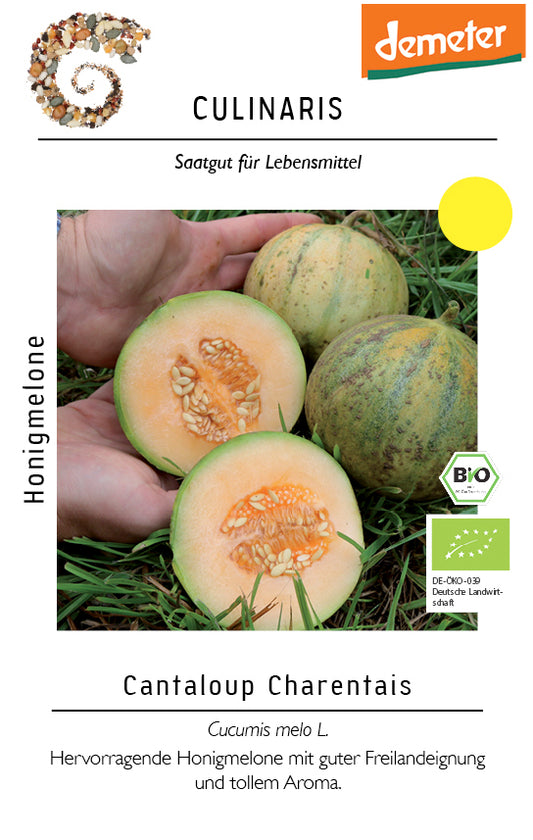 Honigmelone Cantaloup Charentais