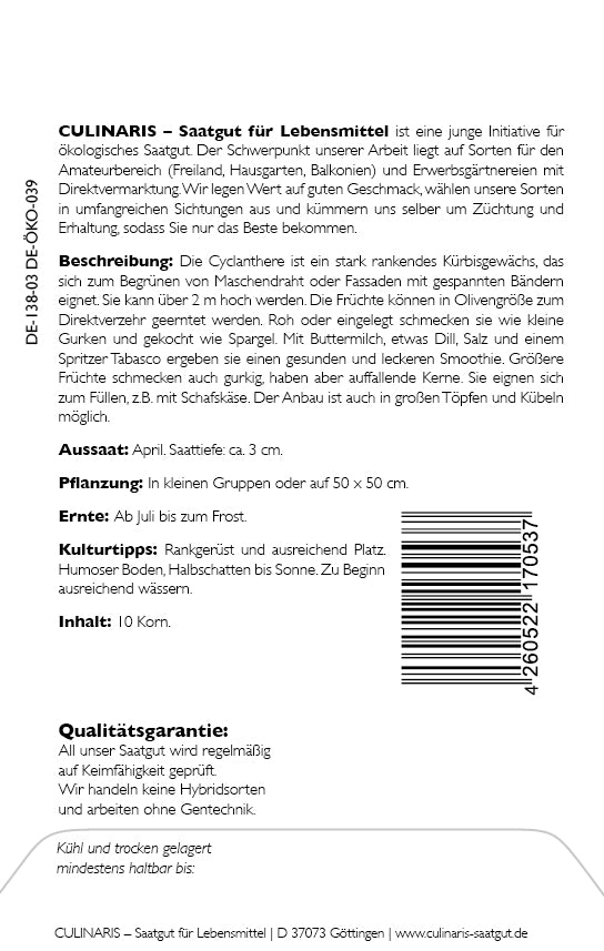 Cyclanthere, Hörnchenkürbis