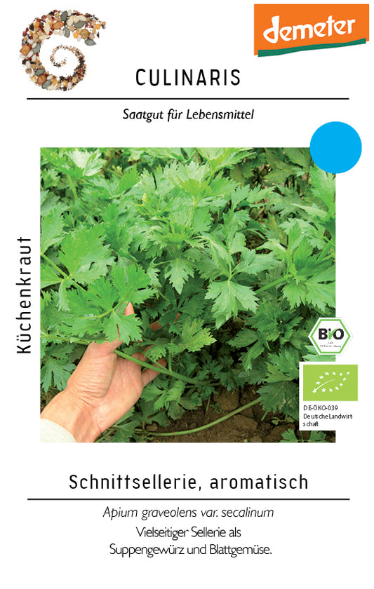 Schnittsellerie, aromatisch
