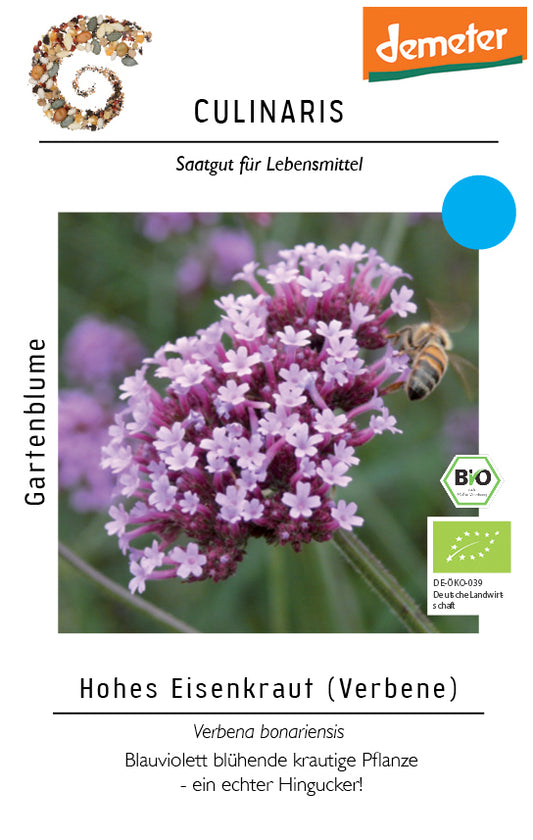 Hohes Eisenkraut - Verbene