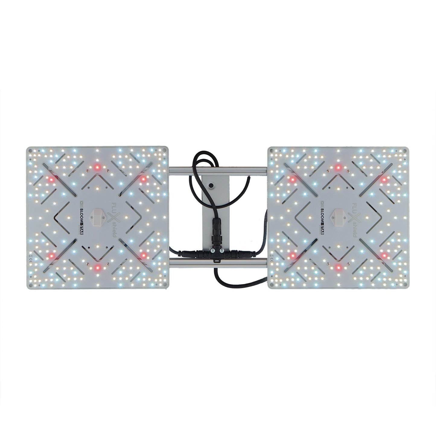 BloomStar Wingman 660