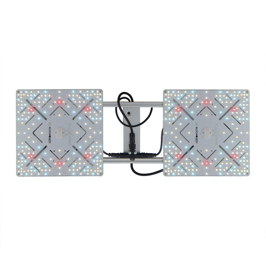 BloomStar Wingman 660