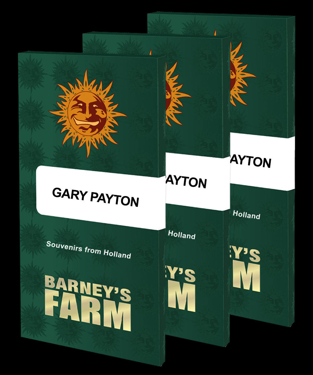 Barneys Farm Gary Payton Fem. 3St.