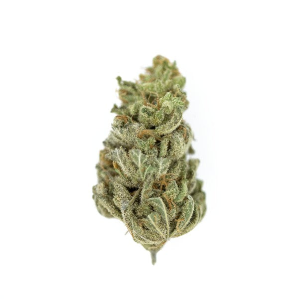 Royal Queen Seeds Amnesia Haze Fem. 3St.