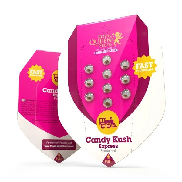 Royal Queen Seeds Candy Kush Express Fast Fem. 3St.