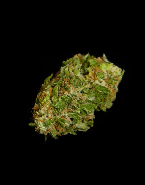 Royal Queen Seeds Apollo F1 Auto Fem. 3St.