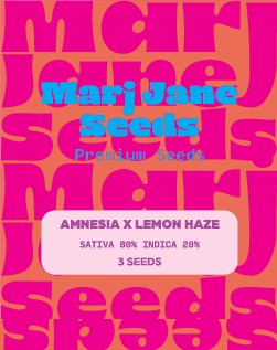 Marj Jane Amnesia X Lemon Haze Fem. 3St.
