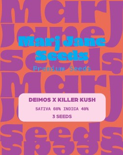 Marj Jane Deimos X Killer Kush Auto Fem. 3St.