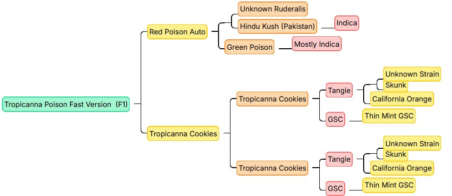Sweet Seeds Tropicanna Poison F1 Fem 3St.