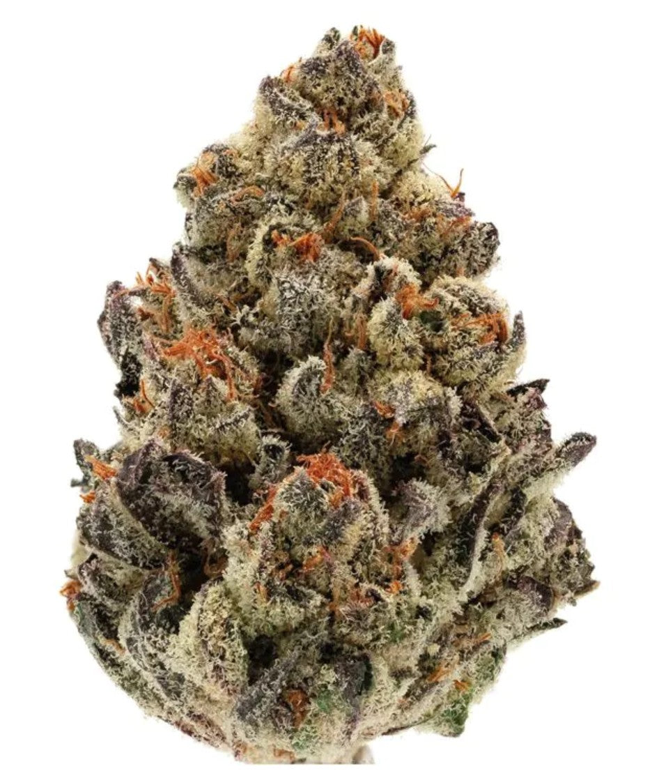 Growers Choice Bruce Banner Auto Fem 3St.