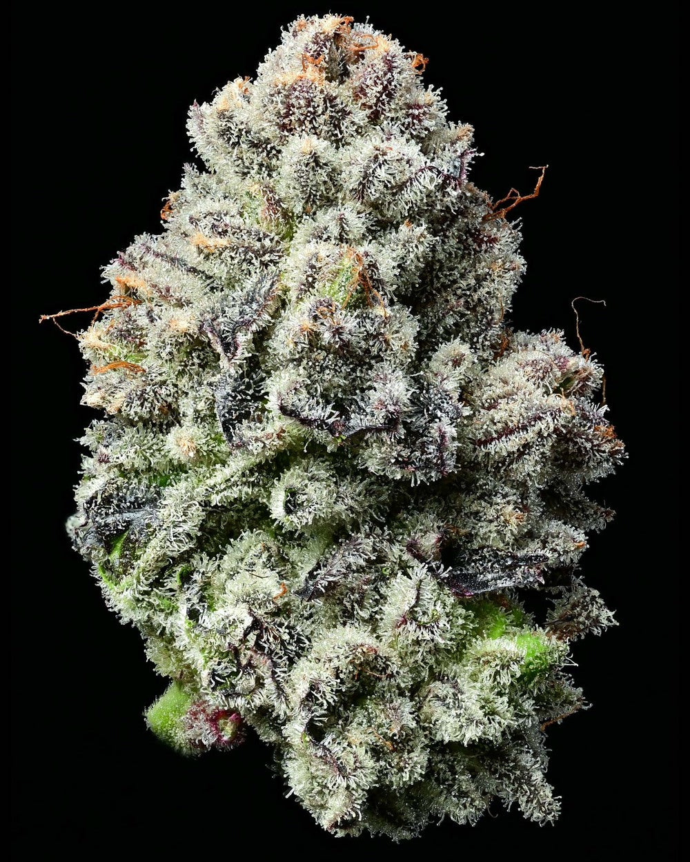 Barneys Farm Lemon Cherry Gelato Fem 3St.