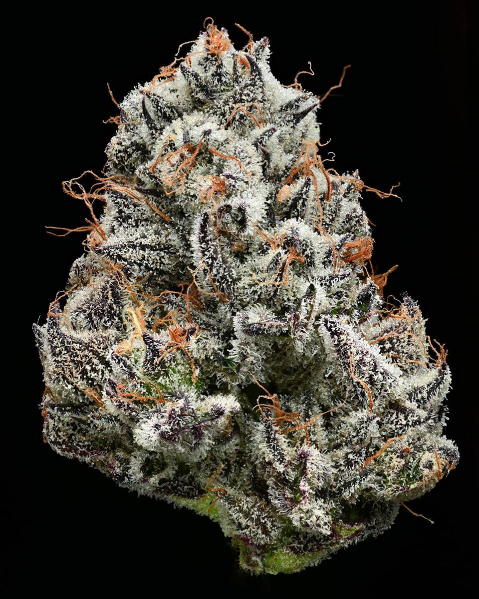Barneys Farm Black Cherry Gushers Fem 3St.