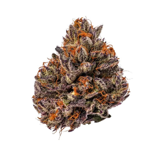 Growers Choice Tropicana Cherry Triploid Fem 3St.