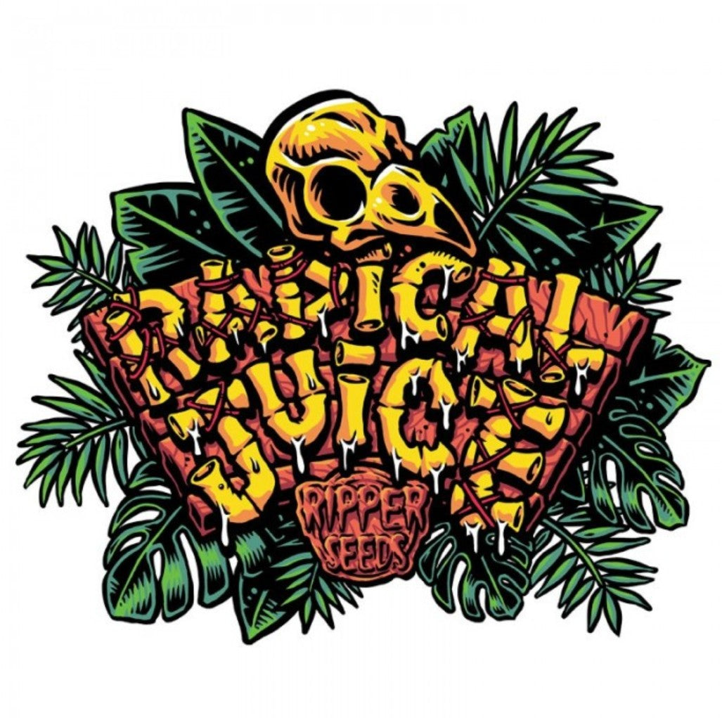 Ripper Seeds Radical Juice Fem 3St.