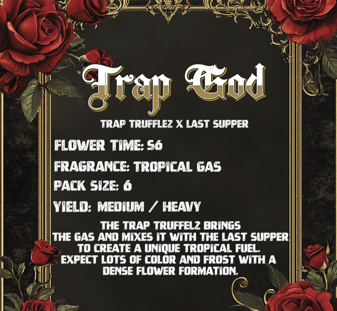 Solfire Gardens Trap God Fem 6St.
