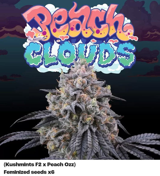 Perfect Tree Peach Clouds Fem 6 St.