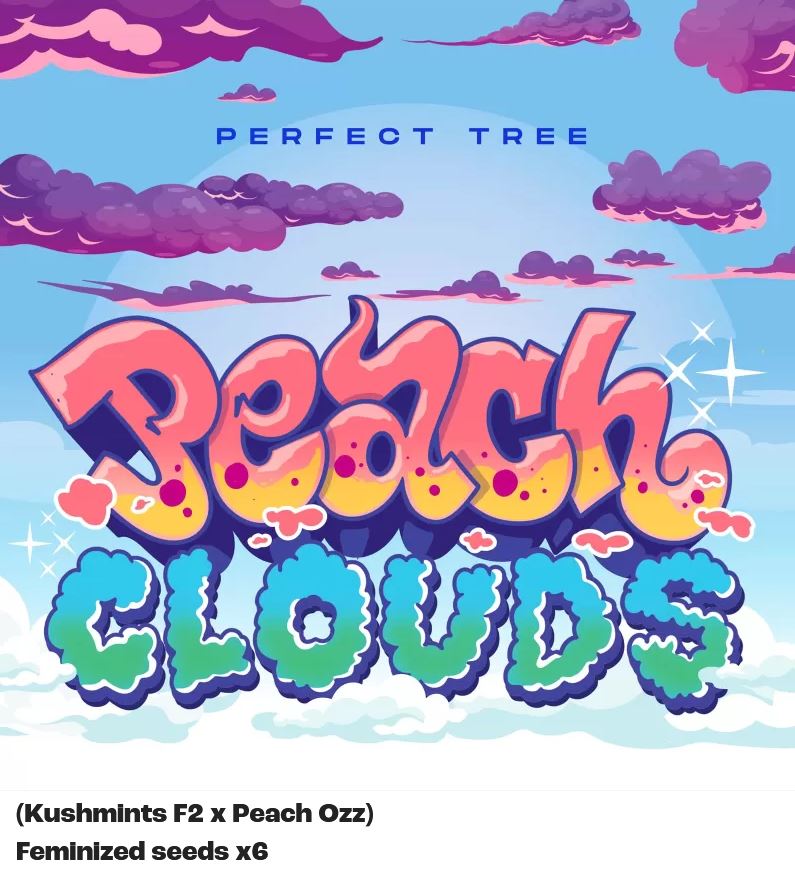 Perfect Tree Peach Clouds Fem 6 St.