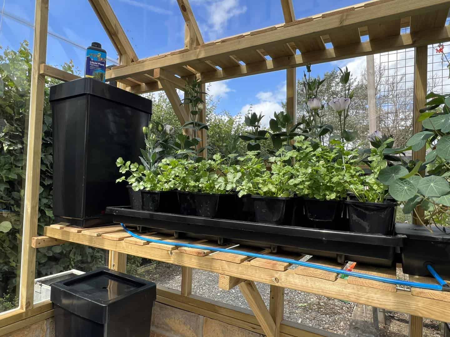 AutoPot Tray2Grow
