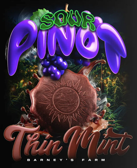 Barneys Farm Thin Mint x Sour Pinot Auto Fem 3St.