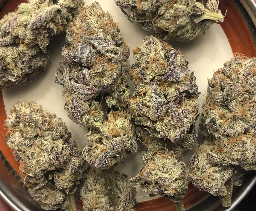 In House Genetics Jelly Breath S1 Fem 3St.