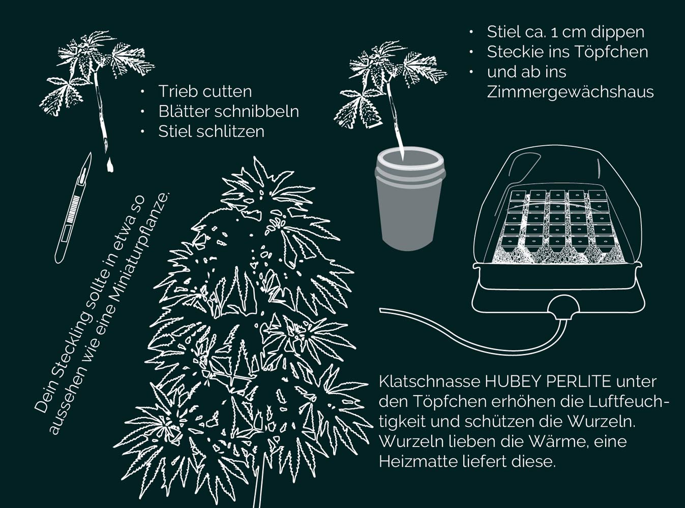 Hubey Bio Rooting Gel 70 ml