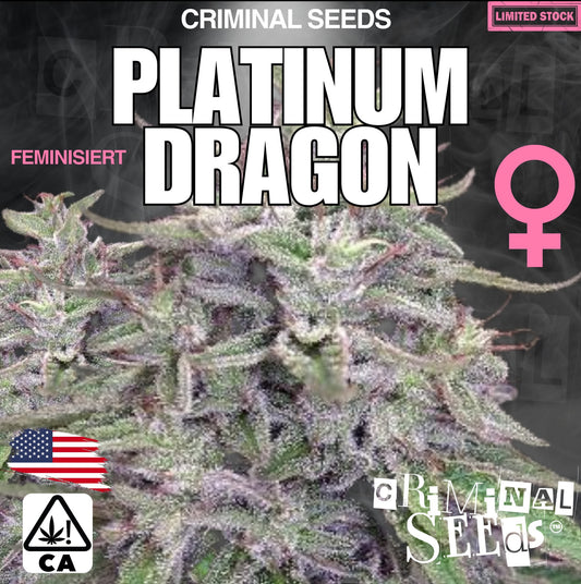 Criminal Seeds Platinum Dragon x Cali Fem 3St.
