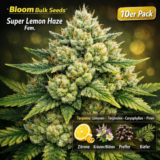 Bloom Bulk Seeds Super Lemon Haze Fem. 10St.