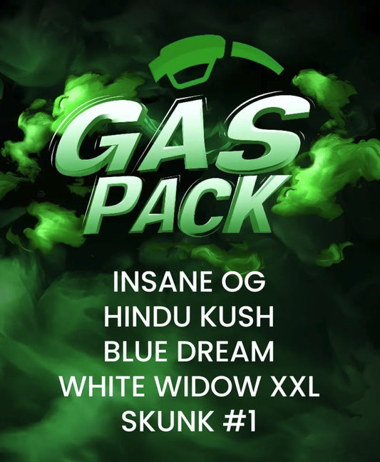 Barneys Farm GAS PACK Fem 5St.