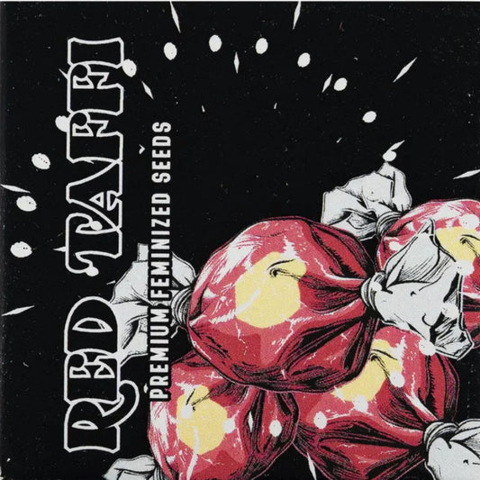 Doja Seeds Red Taffi Fem 3St.