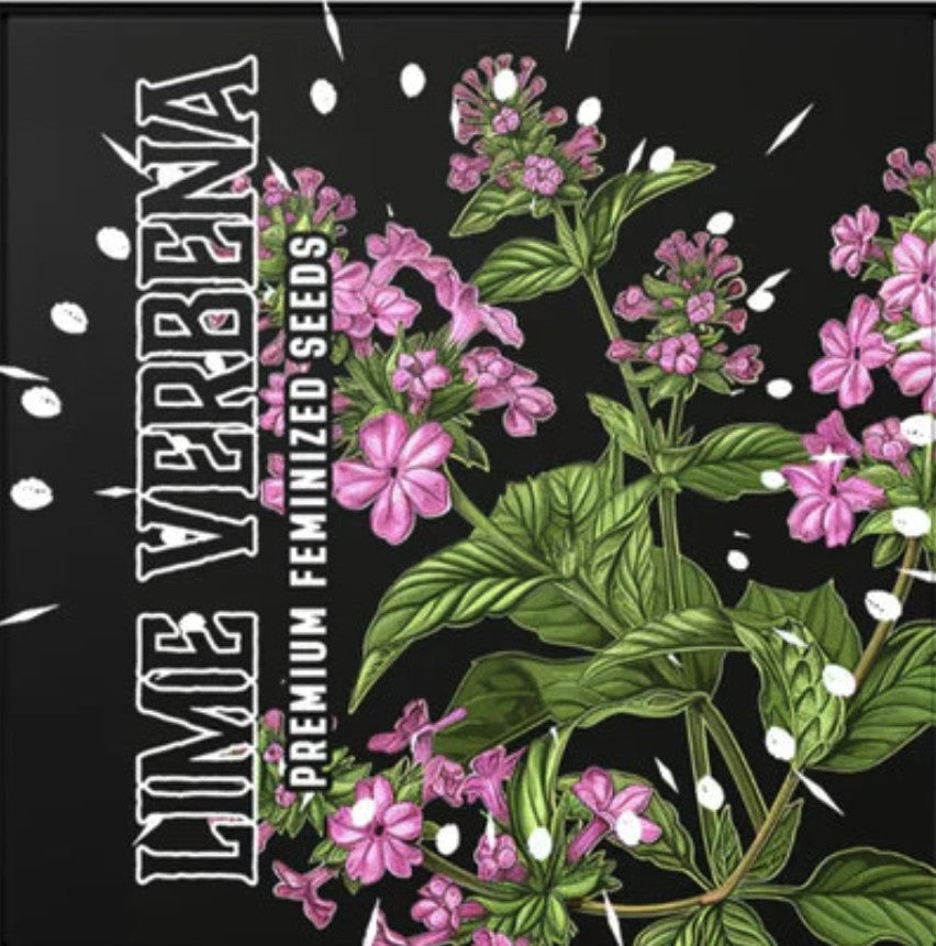 Doja Seeds Lime Verbena Fem 3St.