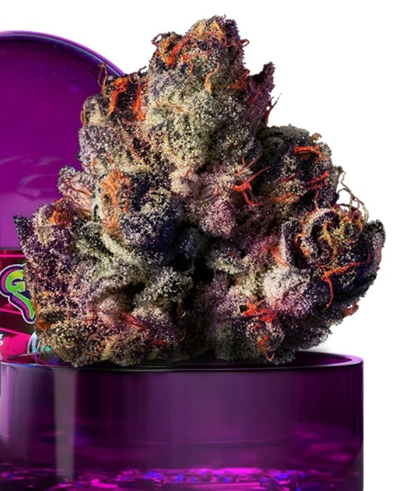 Wizard Trees Rainbow Gelato Fem 3St.