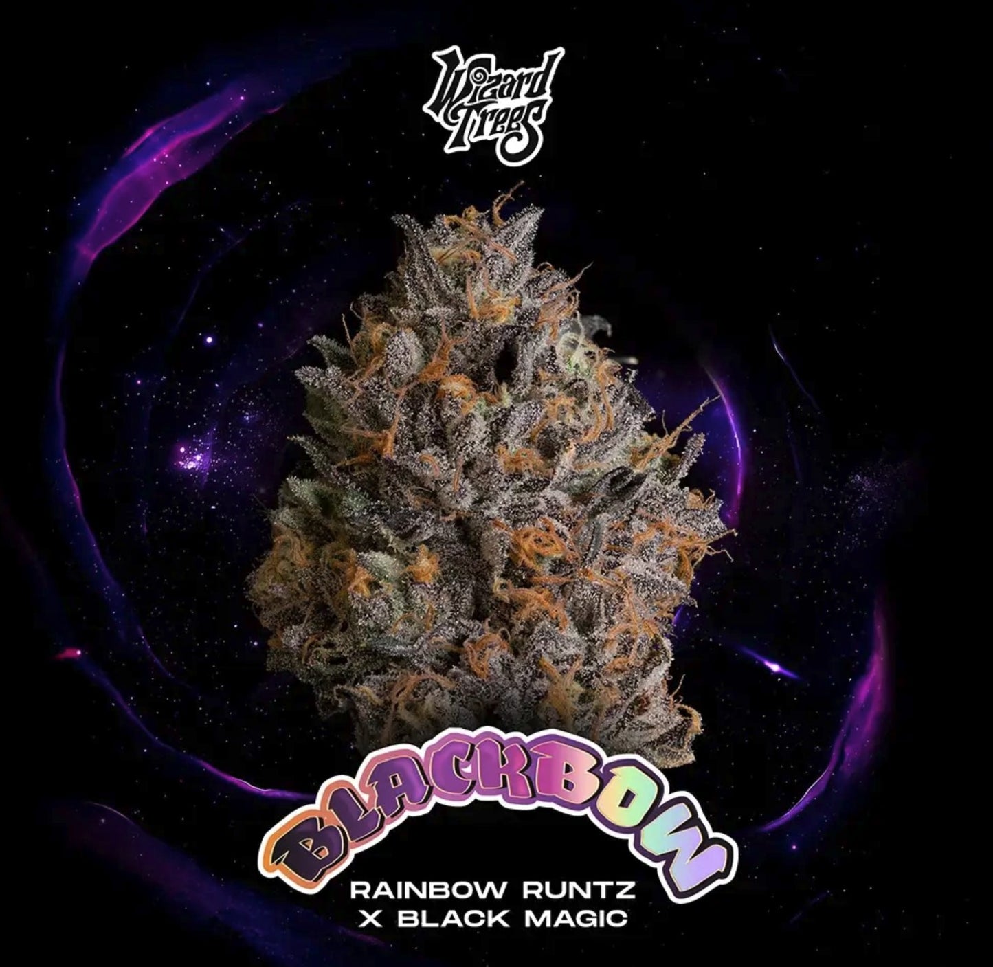 Wizard Trees Black Bow Fem 3St.