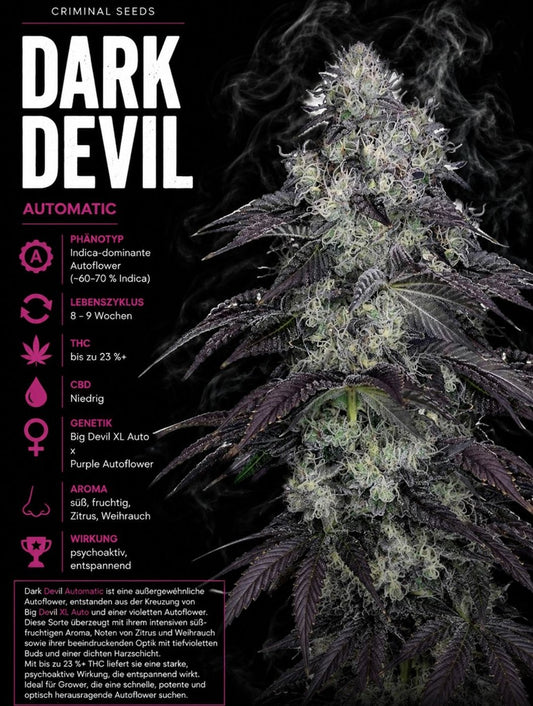 Criminal Seeds Dark Devil Auto Fem 3St.