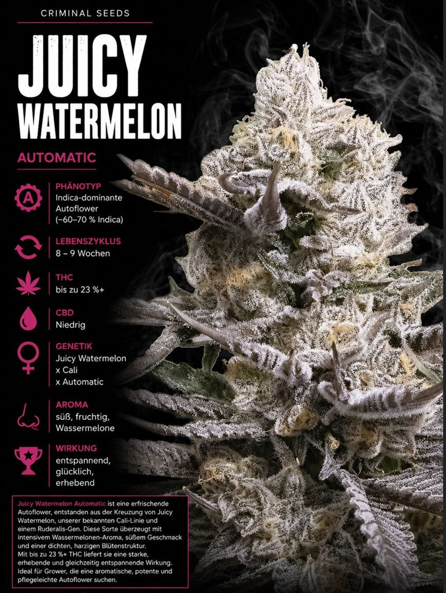 Criminal Seeds Juicy Watermelon Auto Fem 3St.