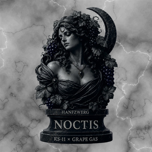 Hanfzwerg Noctis Fem 3 St.